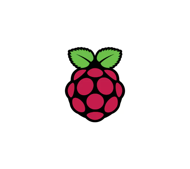 rasberry logo