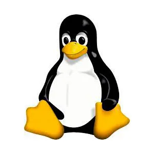 Linux logo on white background.